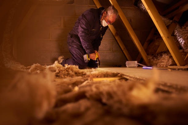 Professional Insulation Contractor in Colorado City, CO